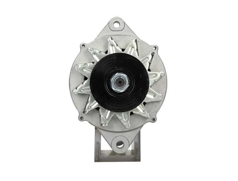 Alternator BV PSH 165.810.070.080