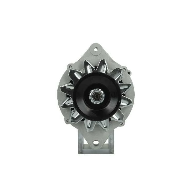 Alternator BV PSH 165.823.060.080