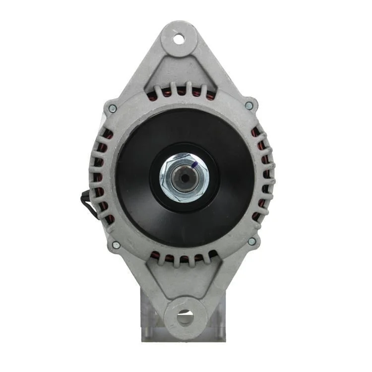 Alternator BV PSH 165.829.060.080