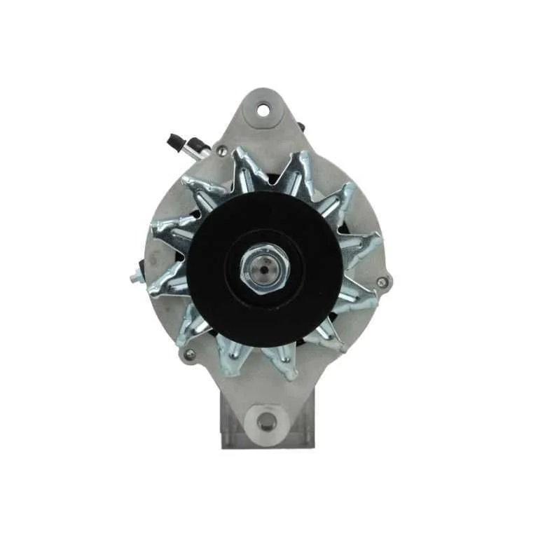Alternator BV PSH 255.802.060.200