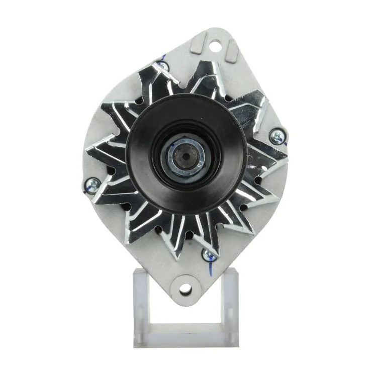 Alternator BV PSH 305.005.065.010