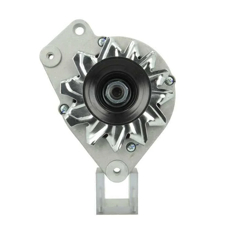 Alternator BV PSH 305.012.065.010