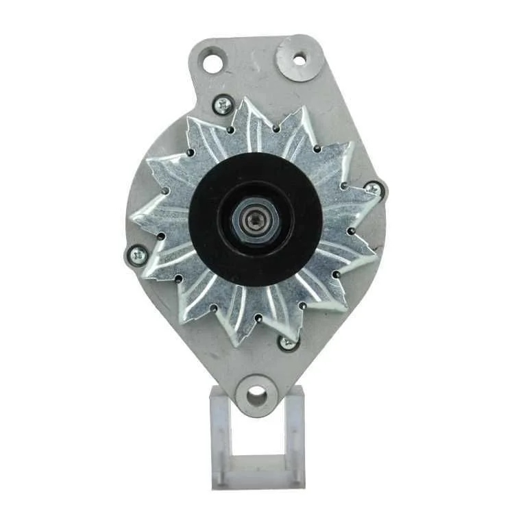 Alternator BV PSH 305.014.065.010