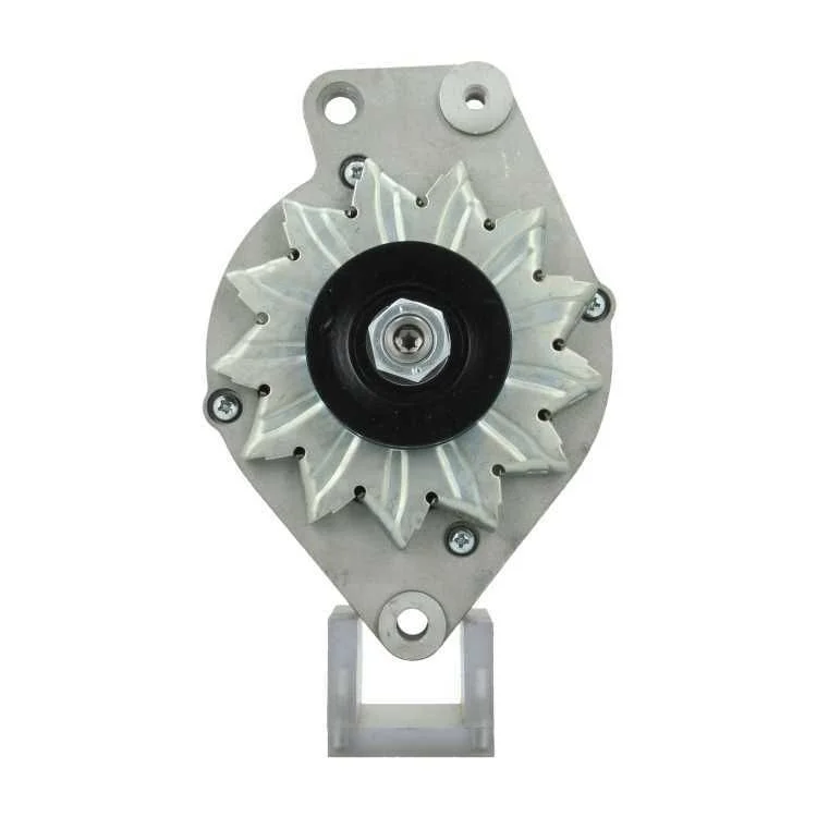 Alternator BV PSH 305.024.065.010
