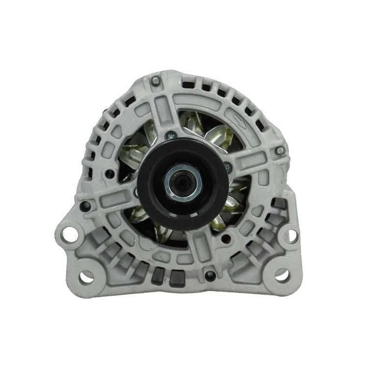 Alternator BV PSH 305.513.090.010