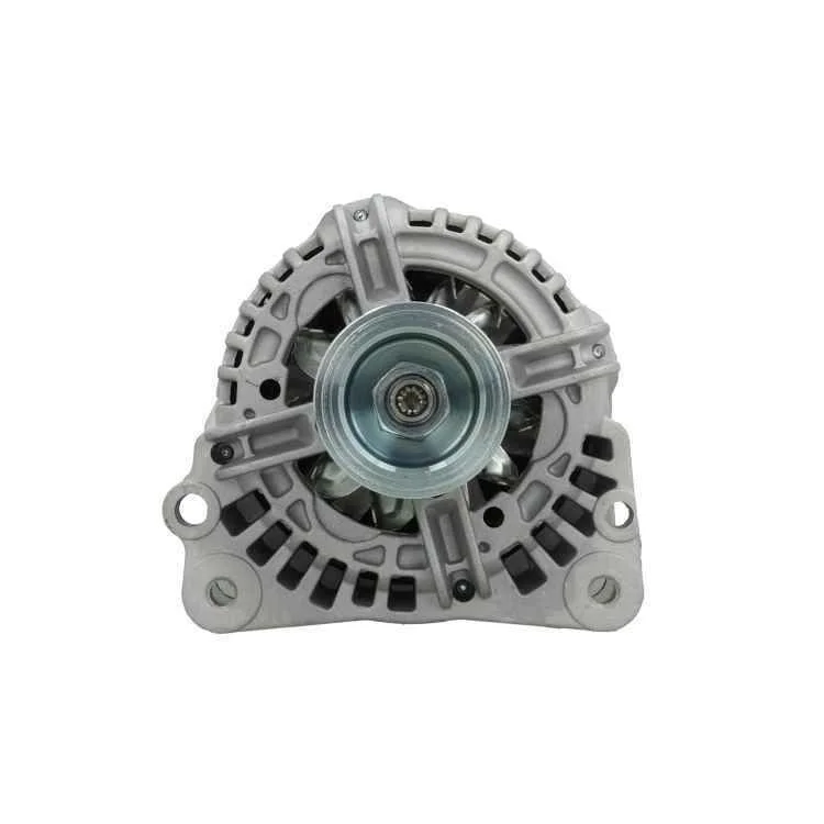 Alternator BV PSH 305.519.090.010