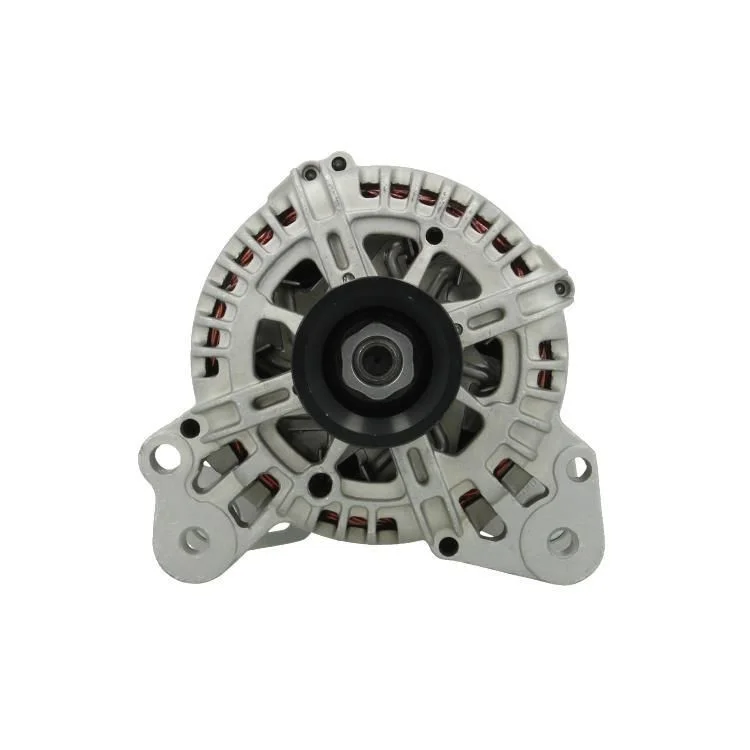 Alternator BV PSH 305.519.110.000