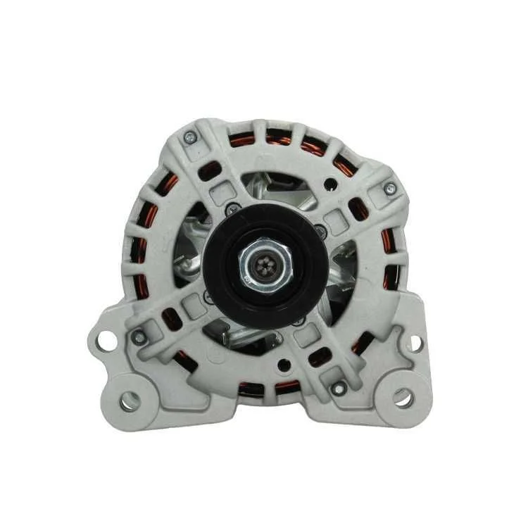 Alternator BV PSH 305.960.110.010