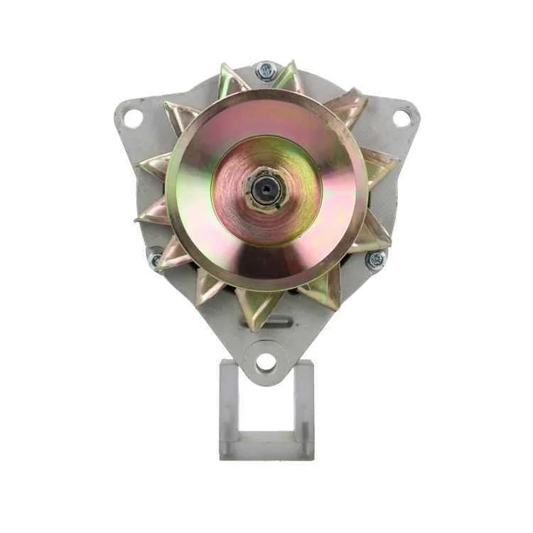 Alternator BV PSH 445.002.055.110
