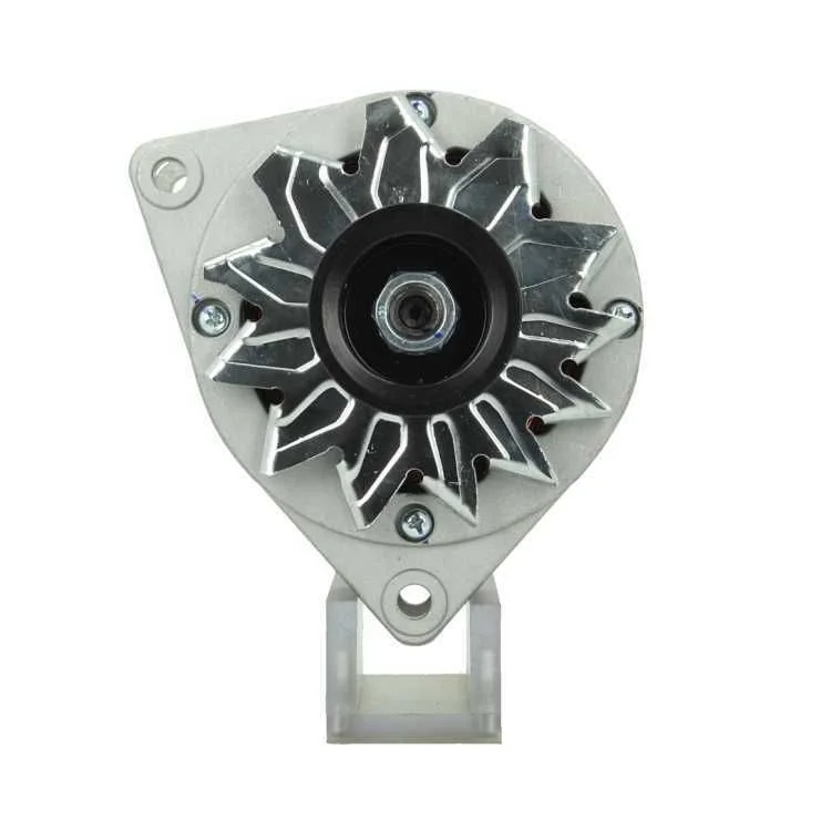 Alternator BV PSH 555.013.070.011
