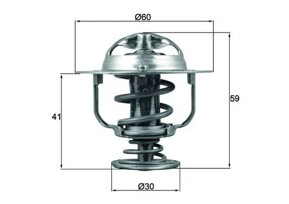 Thermostat, coolant MAHLE TX 177 82D