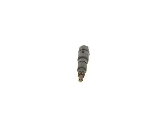 Nozzle and Holder Assembly BOSCH 0 432 193 481