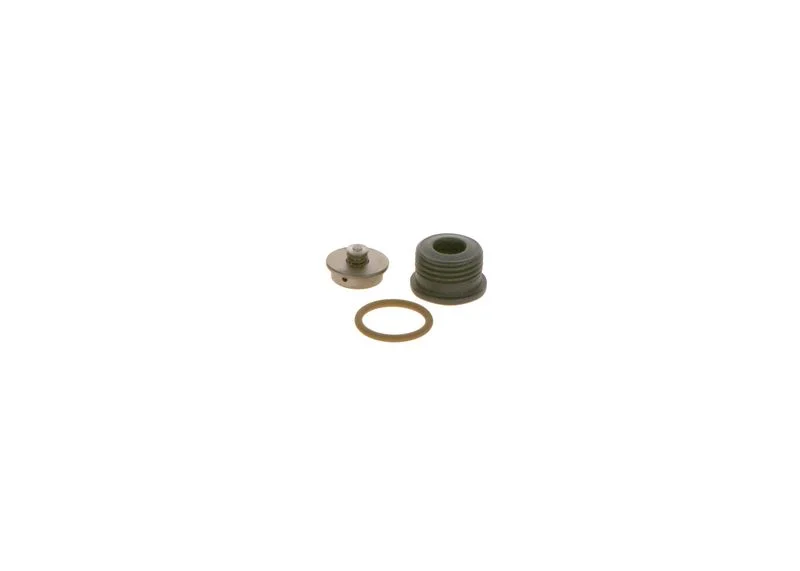Komplet za popravilo, sistem common rail BOSCH F00N200997