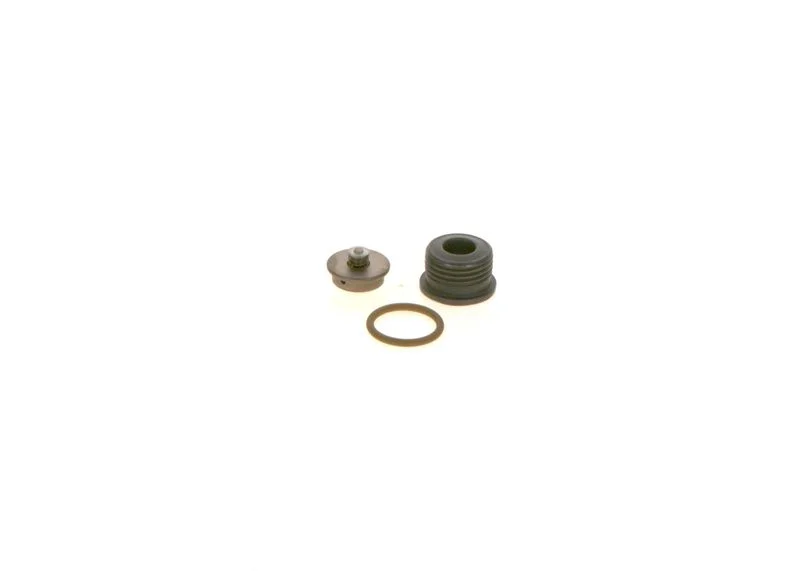 Komplet za popravilo, sistem common rail BOSCH F00N201244