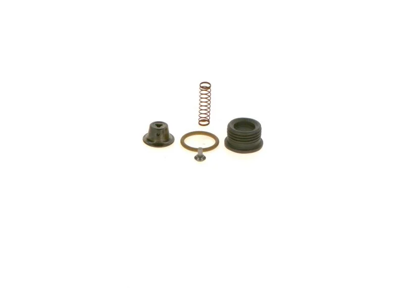 Komplet za popravilo, sistem common rail BOSCH F00N201451