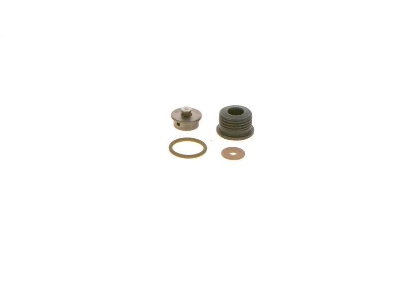 Komplet za popravilo, sistem common rail BOSCH F 00N 202 418