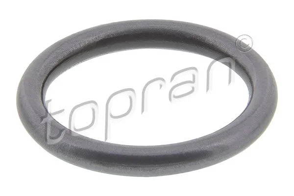 3891 TOPRAN 100 678