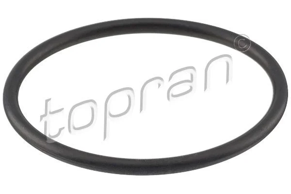 Tesnilo, termostat TOPRAN 113 458