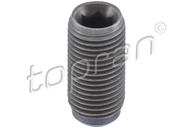 Bolt, rocker arm shaft TOPRAN 115 129