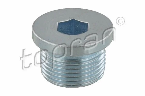 Screw Plug, automatic transmission casing TOPRAN 115 347