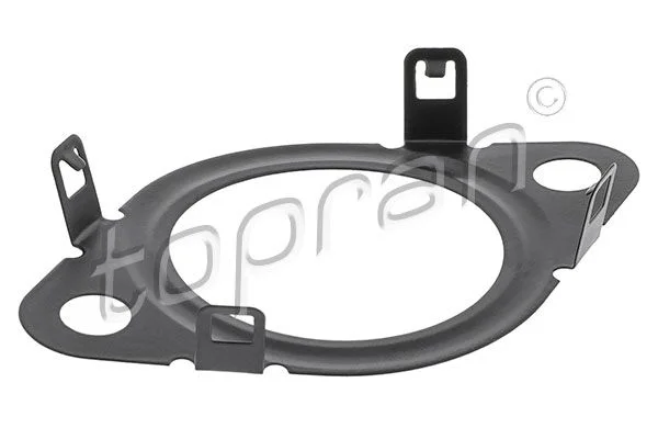 Tesnilo, EGR ventil TOPRAN 601 396