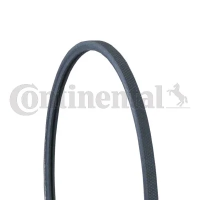 V-ribbed Belt CONTINENTAL CTAM 2PJ838