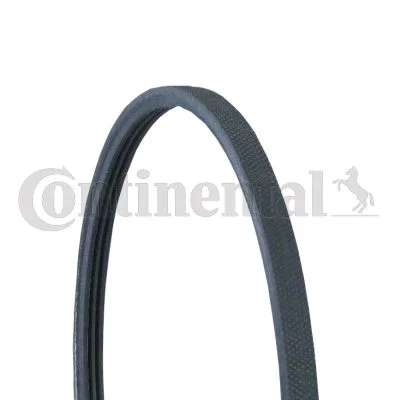 V-ribbed Belt CONTINENTAL CTAM 3PJ891