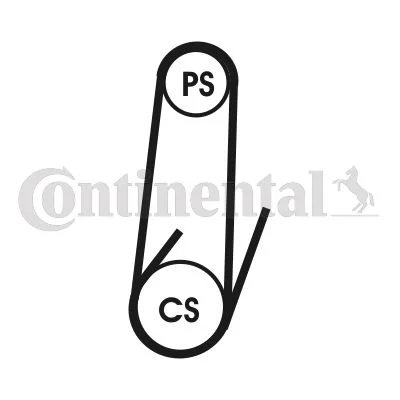 Komplet jermenov z rebri V CONTINENTAL CTAM 4PK1022 ELAST T1