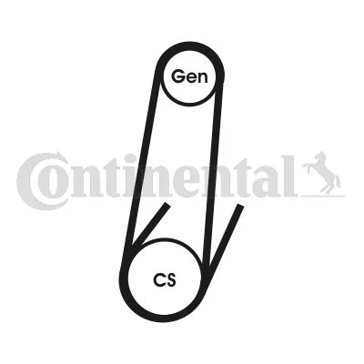 V-ribbed Belt CONTINENTAL CTAM 4PK592 ELAST