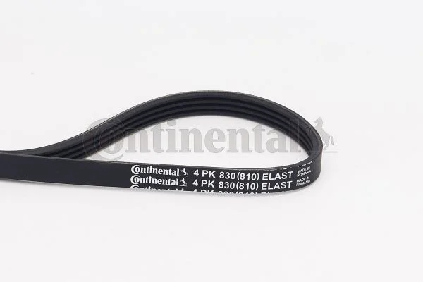 V-ribbed Belt CONTINENTAL CTAM 4PK830 ELAST