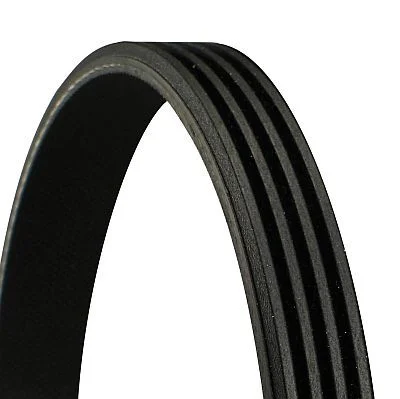 V-ribbed Belt CONTINENTAL CTAM 4PK895