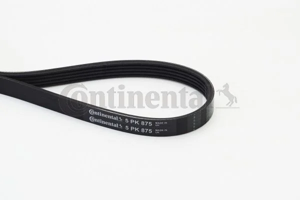 V-rebrasti pas CONTINENTAL CTAM 5PK875