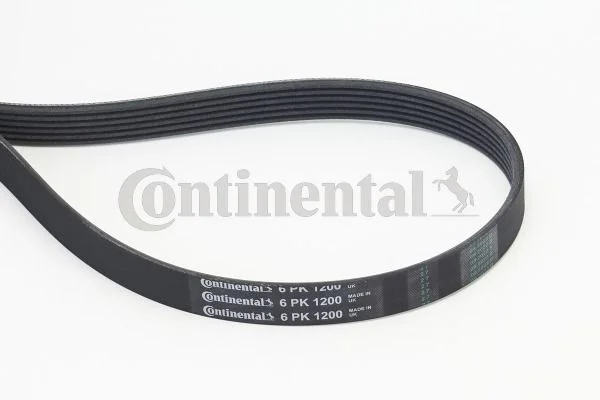V-ribbed Belt CONTINENTAL CTAM 6PK1200