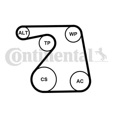 Vodna črpalka + komplet jermena z V-rebri CONTINENTAL CTAM 6PK1360WP1