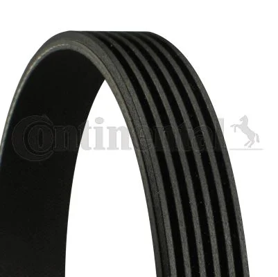 V formos rumbuoti diržai CONTINENTAL CTAM 6PK2080