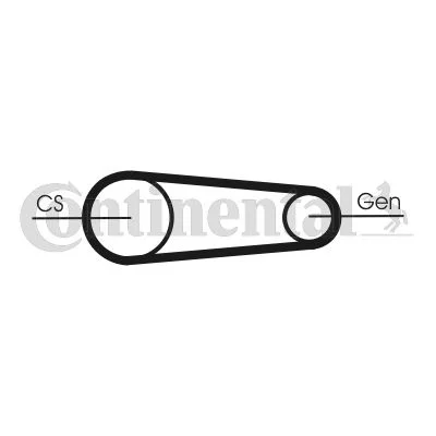 Komplet jermenov z rebri V CONTINENTAL CTAM 6PK831 ELAST T1