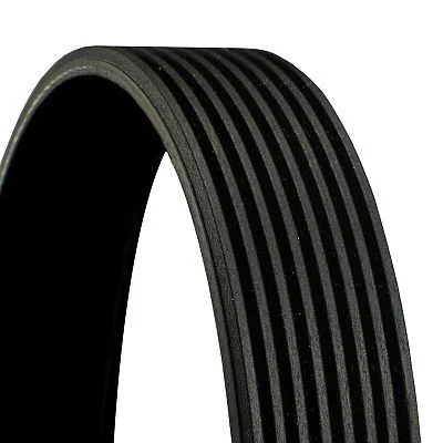 V-ribbed Belt CONTINENTAL CTAM 8PK1247