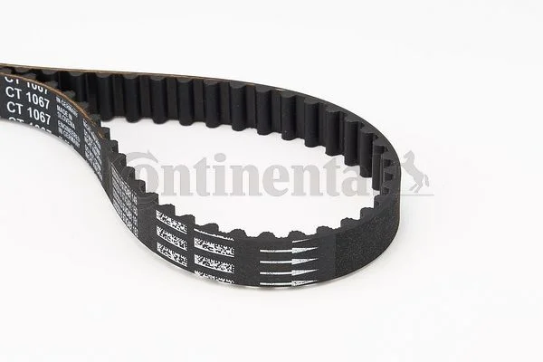 Timing Belt CONTINENTAL CTAM CT1067
