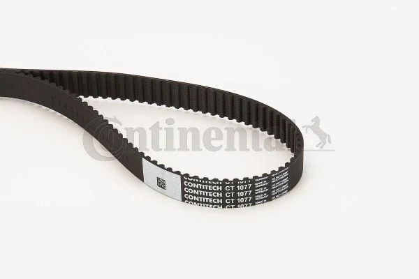 Zobni jermen CONTINENTAL CTAM CT1077