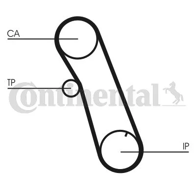 Timing Belt CONTINENTAL CTAM CT616