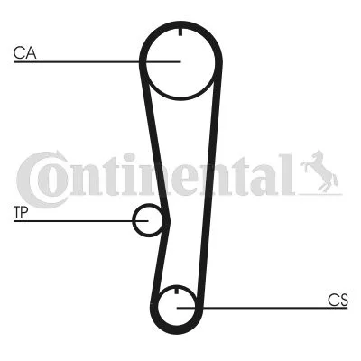 Timing Belt CONTINENTAL CTAM CT895