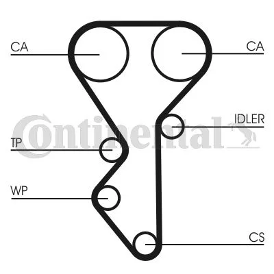 Timing Belt CONTINENTAL CTAM CT955