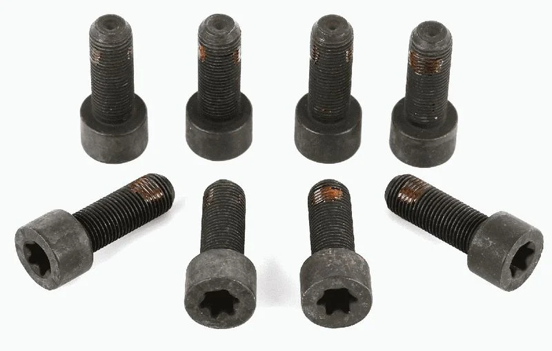 Komplet vijakov, vztrajnik SACHS 1874 000 005