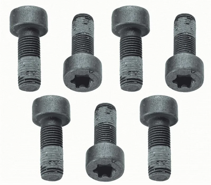 Komplet vijakov, vztrajnik SACHS 1874 000 040