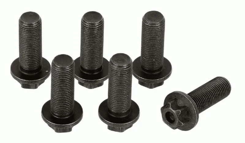 Komplet vijakov, vztrajnik SACHS 1874 000 045