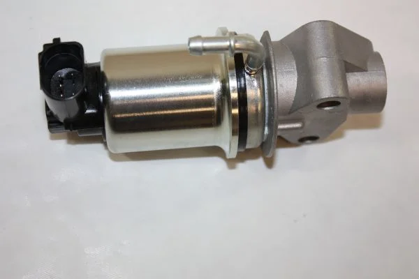 EGR Valve AUTOMEGA 140010610