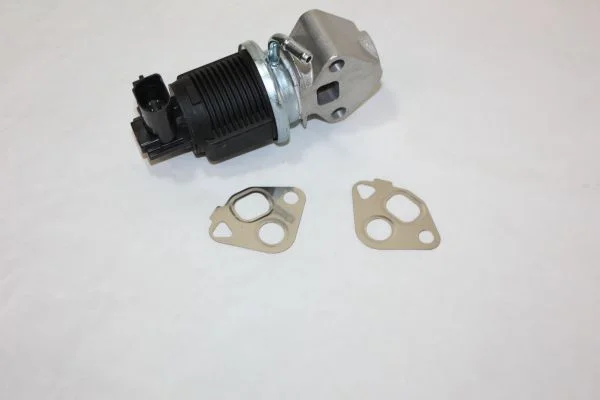 EGR Valve AUTOMEGA 140010810