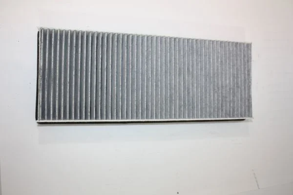 Filtras, salono oras AUTOMEGA 180001810