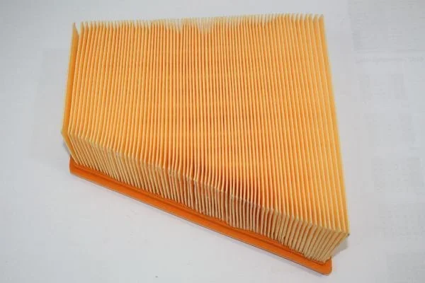Oro filtras AUTOMEGA 180026610