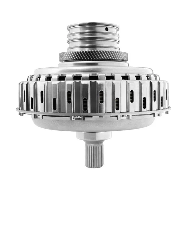 Sankabos modulis BorgWarner 202156